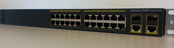 Figure 2.4 Physical Switch Devices