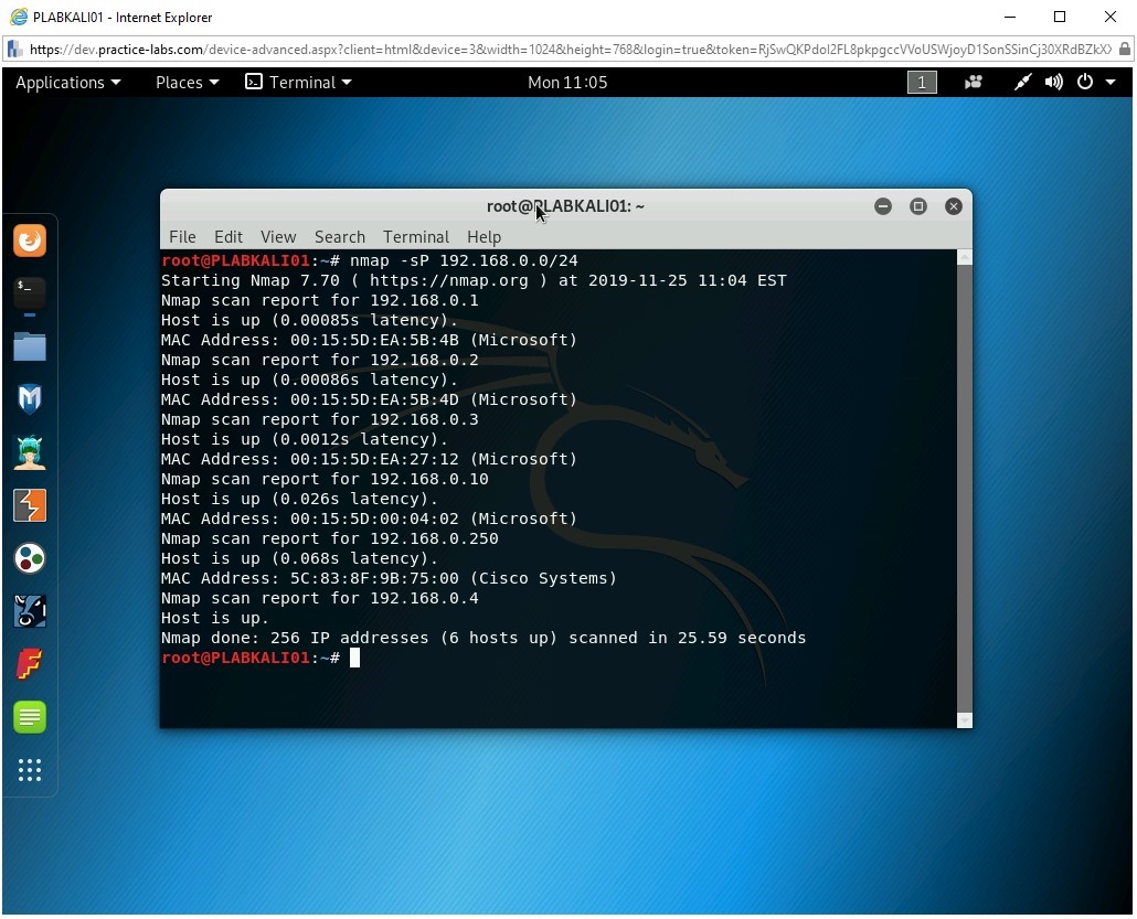 Figure 2.7 Screenshot of PLABKALI01