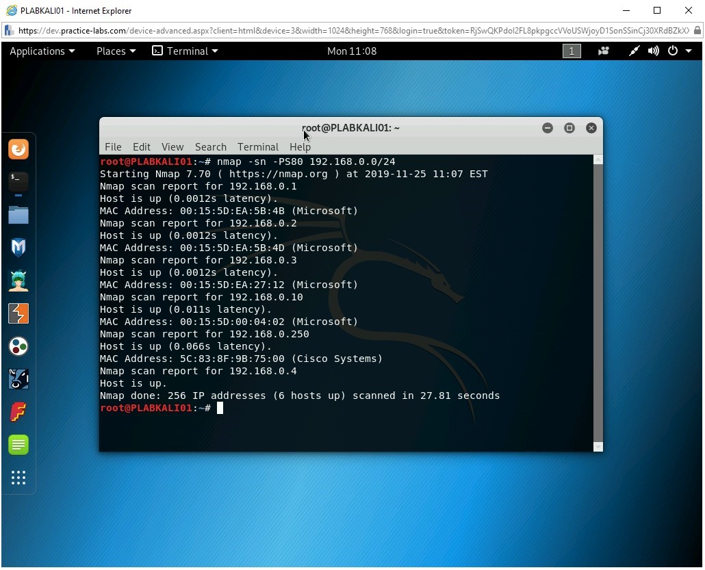 Figure 2.10 Screenshot of PLABKALI01