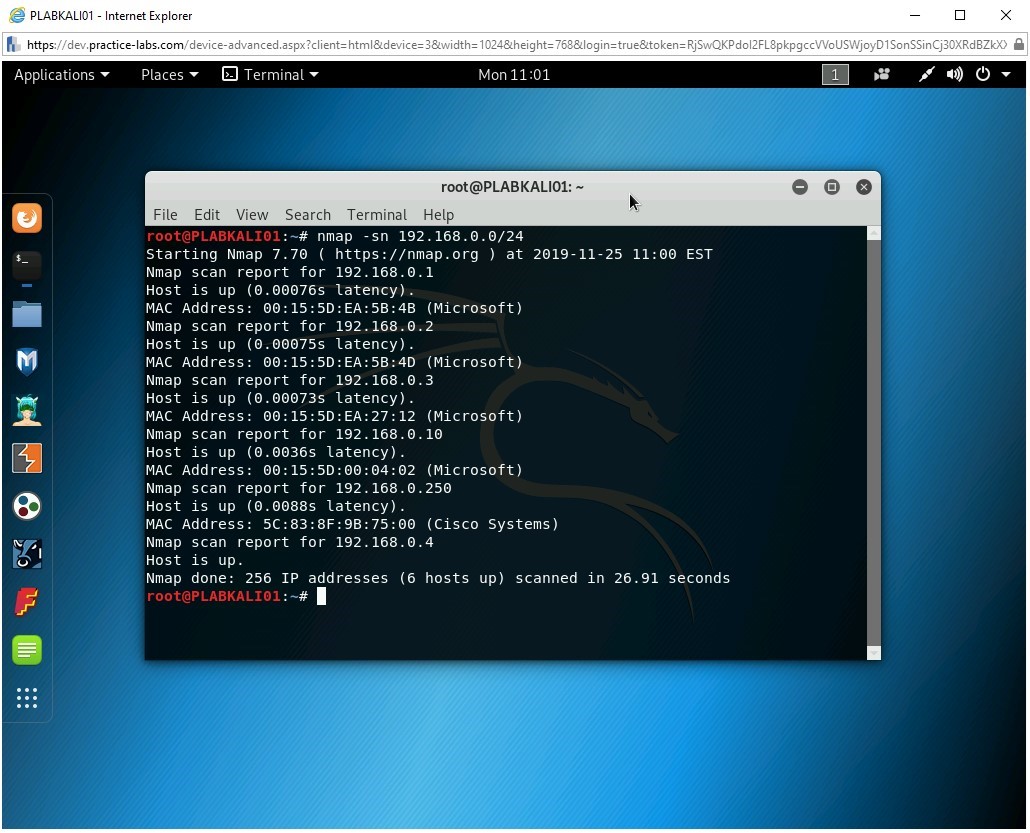 Figure 2.3 Screenshot of PLABKALI01