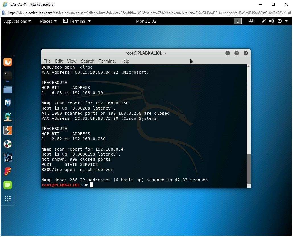 Figure 2.4 Screenshot of PLABKALI01