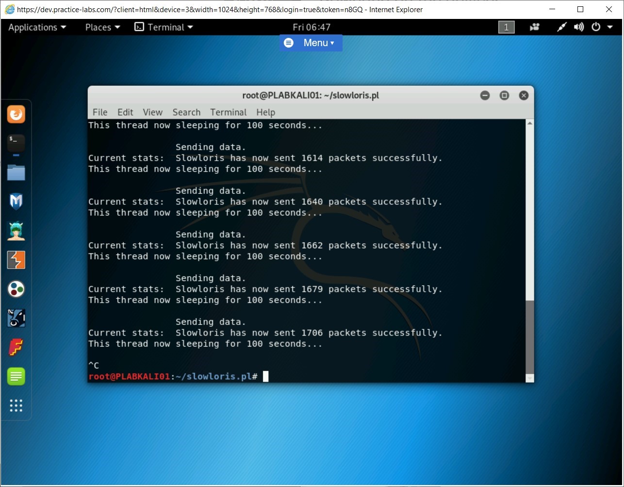 Figure 1.11 Screenshot of PLABKALI01
