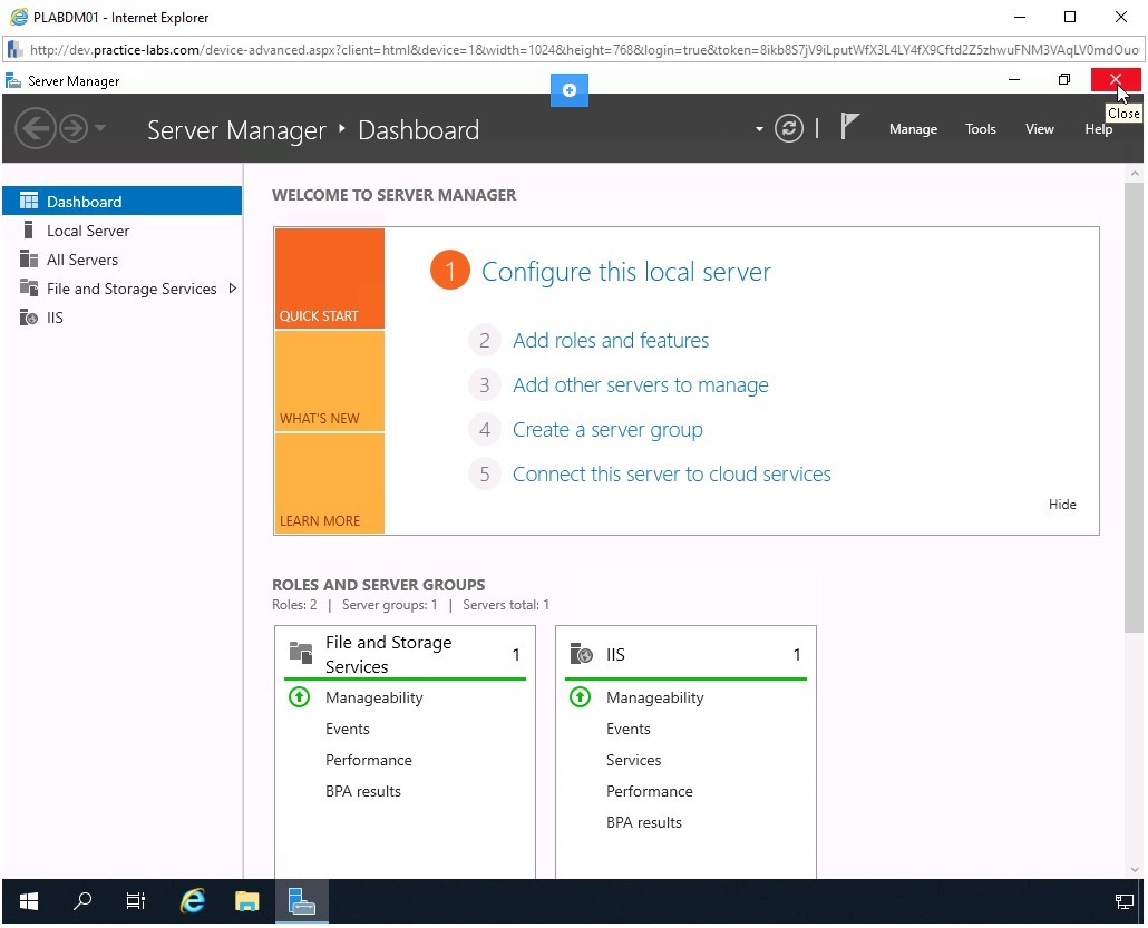 Figure 2.1 Screenshot of PLABDM01
