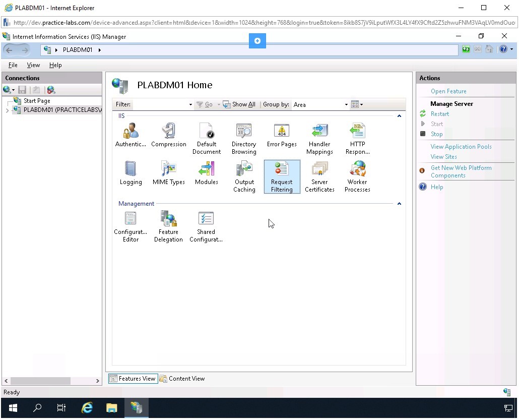 Figure 2.3 Screenshot of PLABDM01