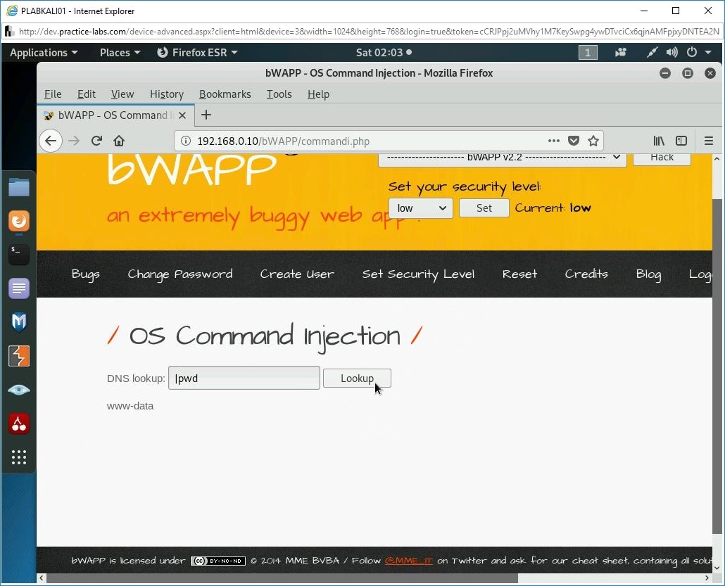 Figure 2.34 Screenshot of PLABKALI01