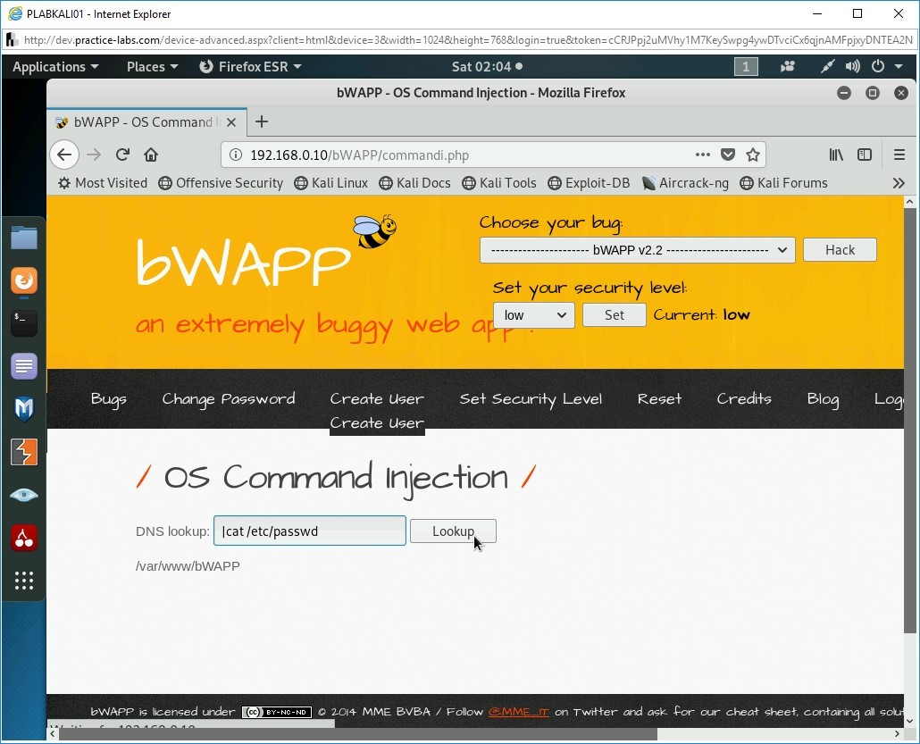 Figure 2.36 Screenshot of PLABKALI01