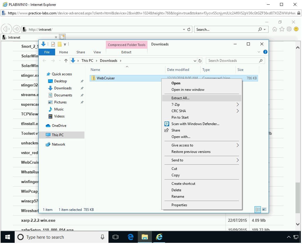 Figure 2.8 Screenshot of PLABWIN10