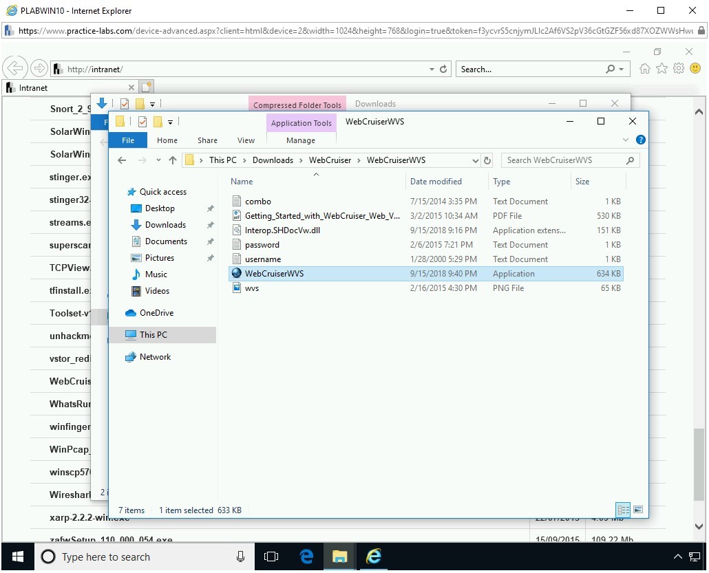 Figure 2.11 Screenshot of PLABWIN10