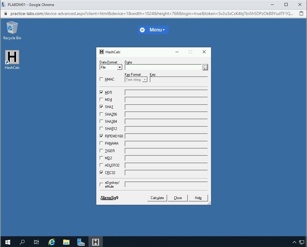Figure 1.46 Screenshot of PLABDM01