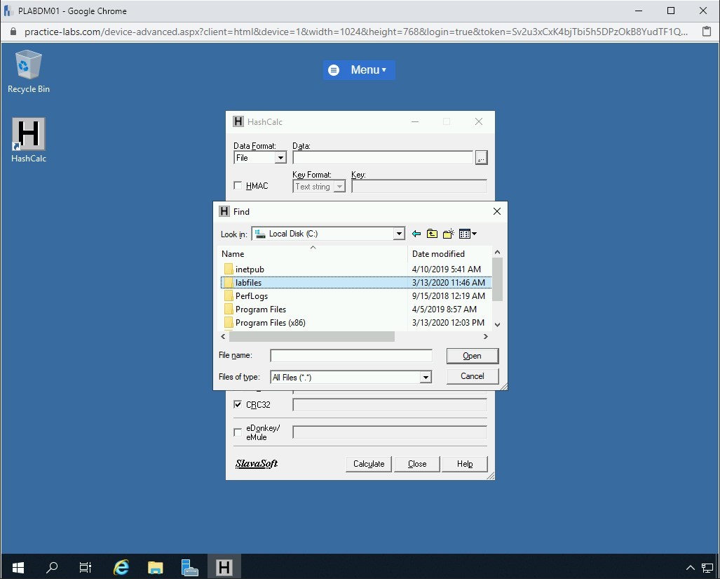 Figure 1.49 Screenshot of PLABDM01