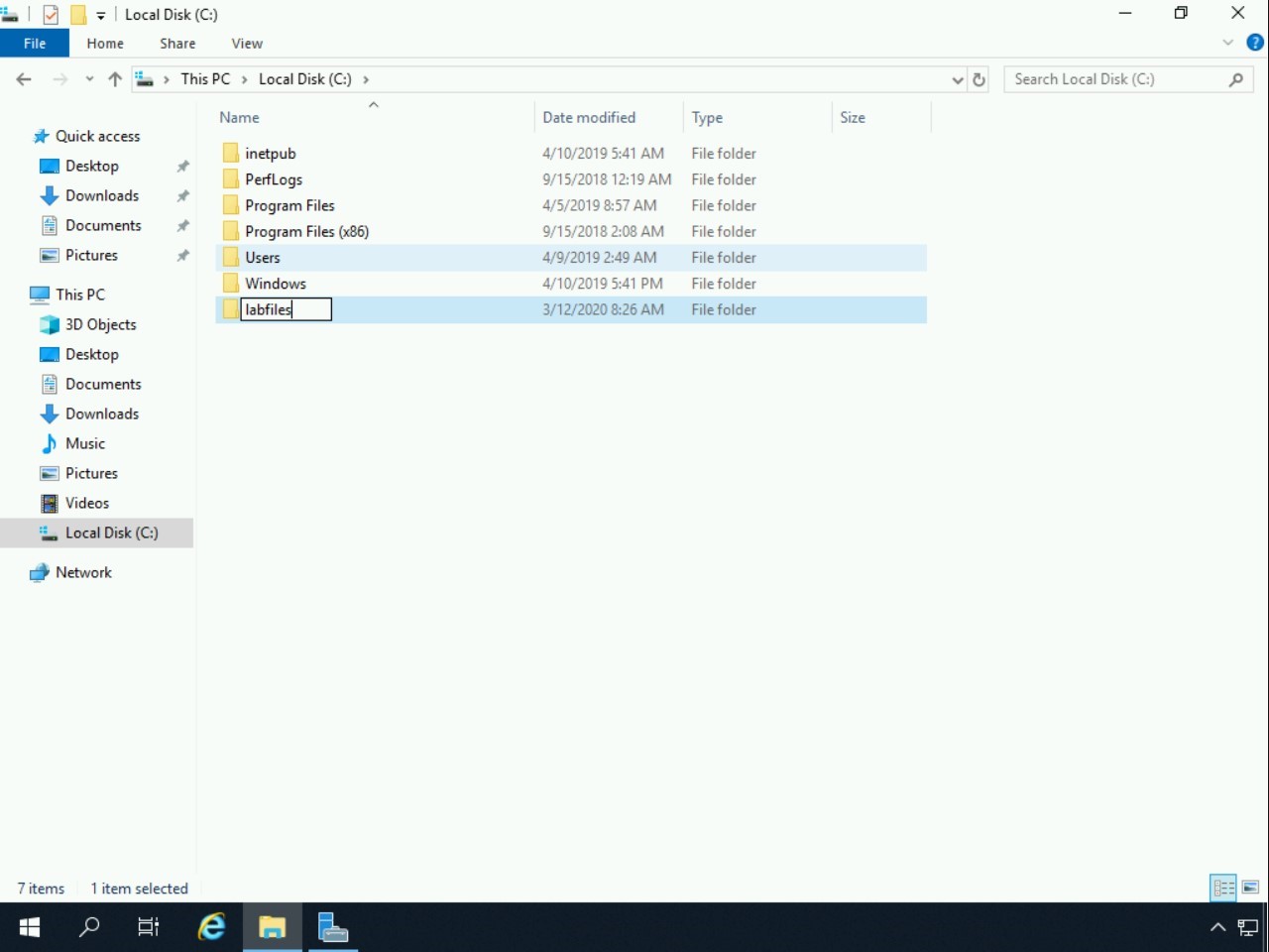 Figure 1.5 Screenshot of PLABDM01