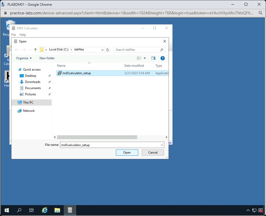 Figure 1.65 Screenshot of PLABDM01