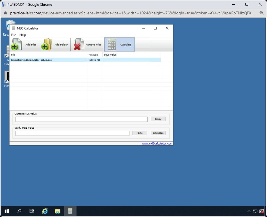 Figure 1.66 Screenshot of PLABDM01