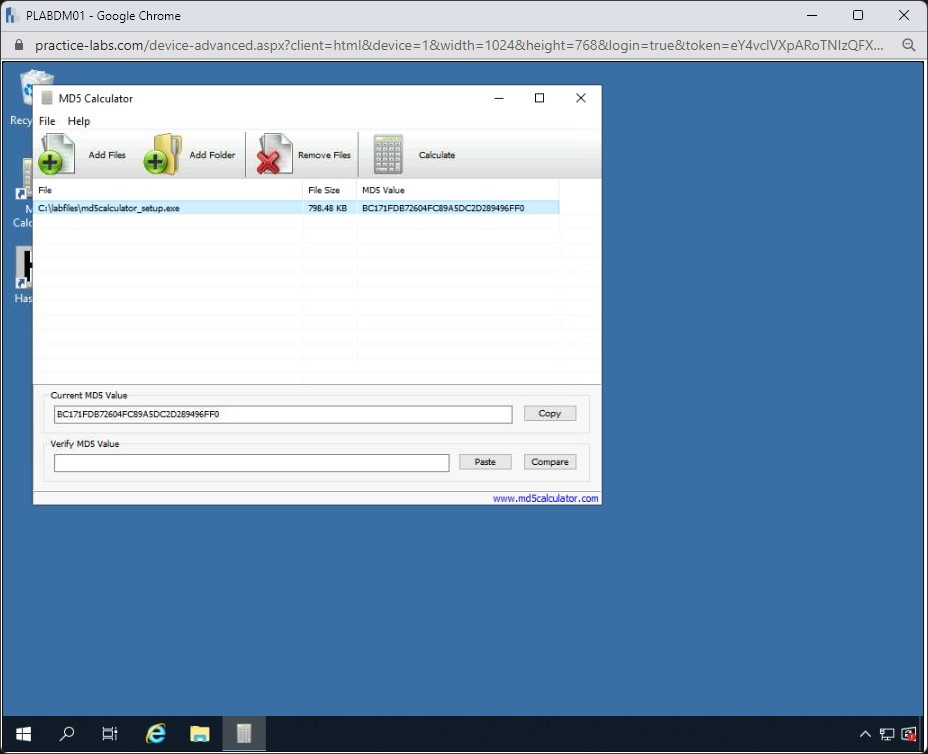 Figure 1.67 Screenshot of PLABDM01