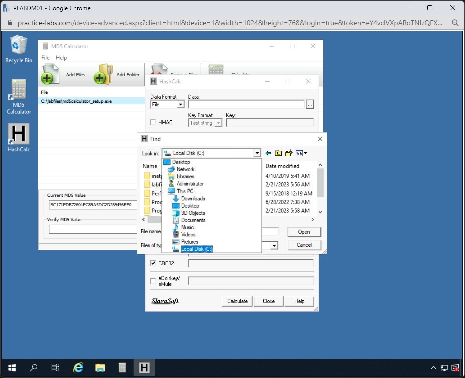 Figure 1.70 Screenshot of PLABDM01