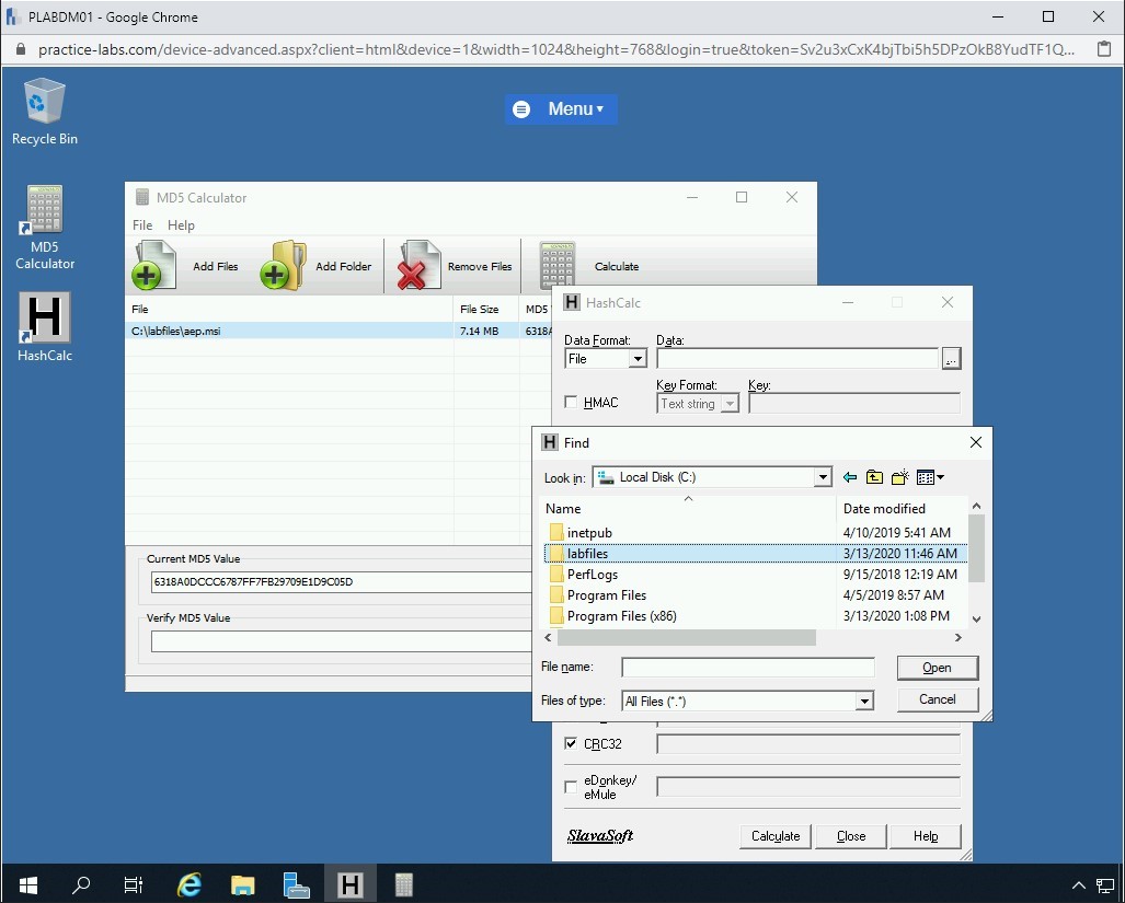 Figure 1.71 Screenshot of PLABDM01