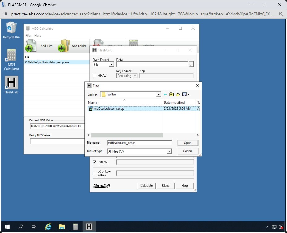 Figure 1.72 Screenshot of PLABDM01