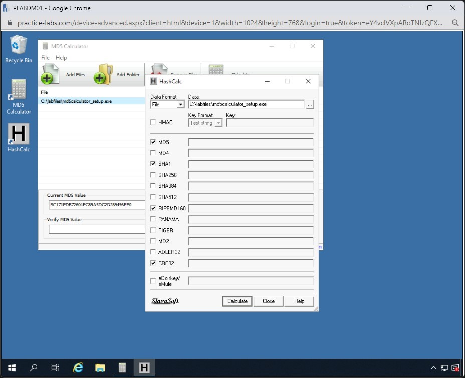 Figure 1.73 Screenshot of PLABDM01