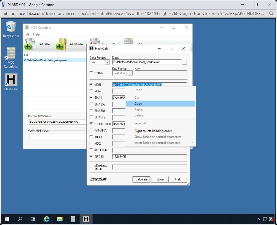 Figure 1.74 Screenshot of PLABDM01