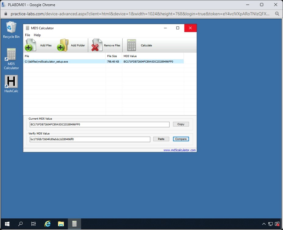Figure 1.79 Screenshot of PLABDM01
