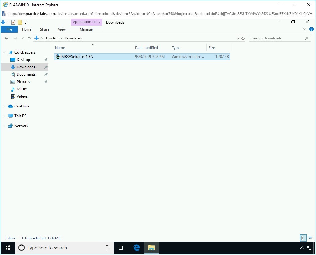 Figure 2.1 Screenshot of PLABWIN10