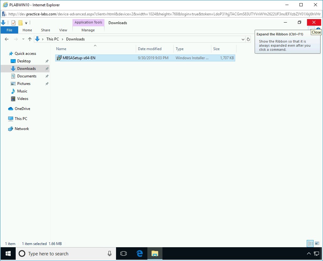 Figure 2.8 Screenshot of PLABWIN10