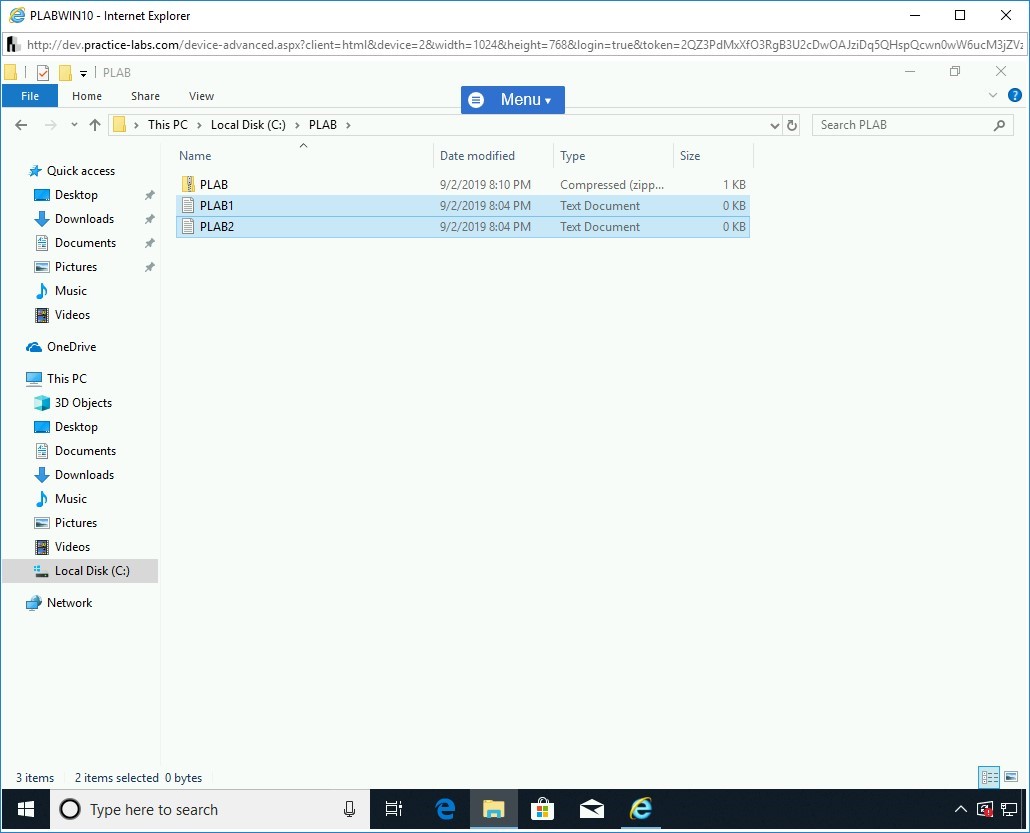 Figure 1.9 Screenshot of PLABWIN10