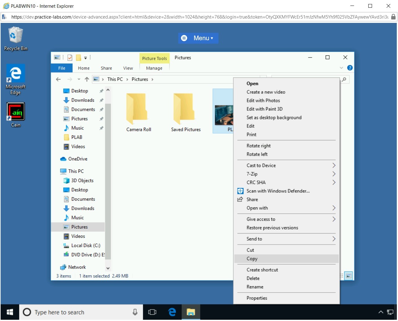 Figure 1.10 Screenshot of PLABWIN10