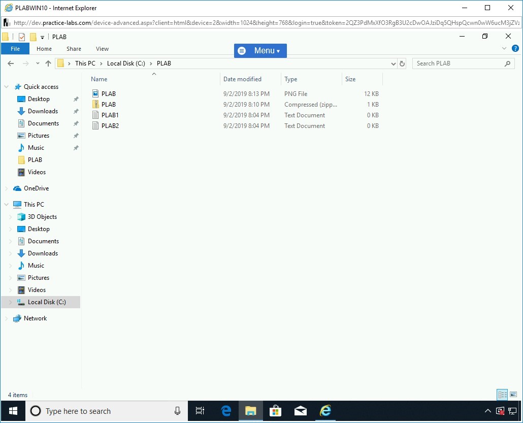 Figure 1.11 Screenshot of PLABWIN10