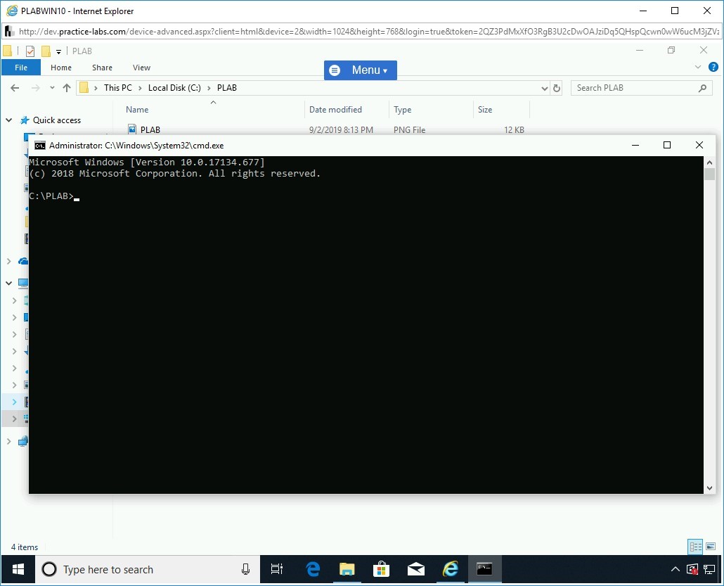 Figure 1.13 Screenshot of PLABWIN10