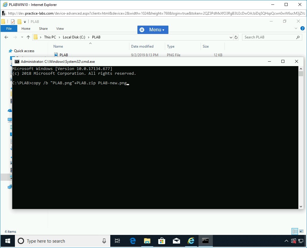 Figure 1.14 Screenshot of PLABWIN10