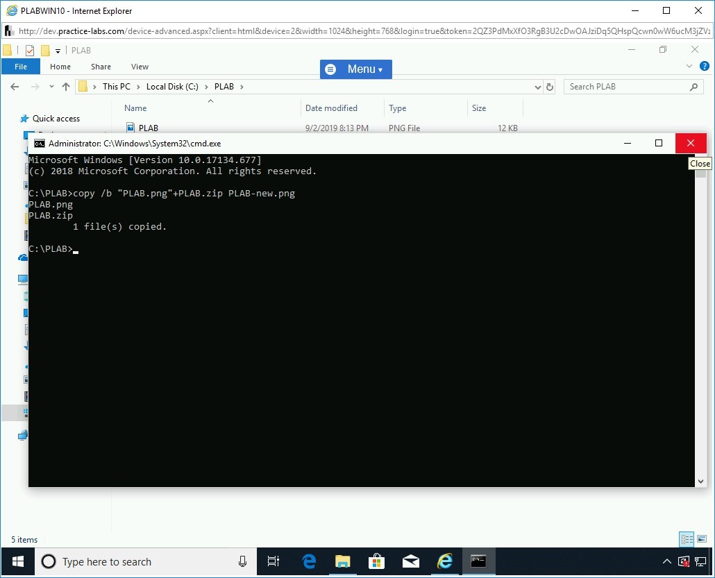 Figure 1.15 Screenshot of PLABWIN10