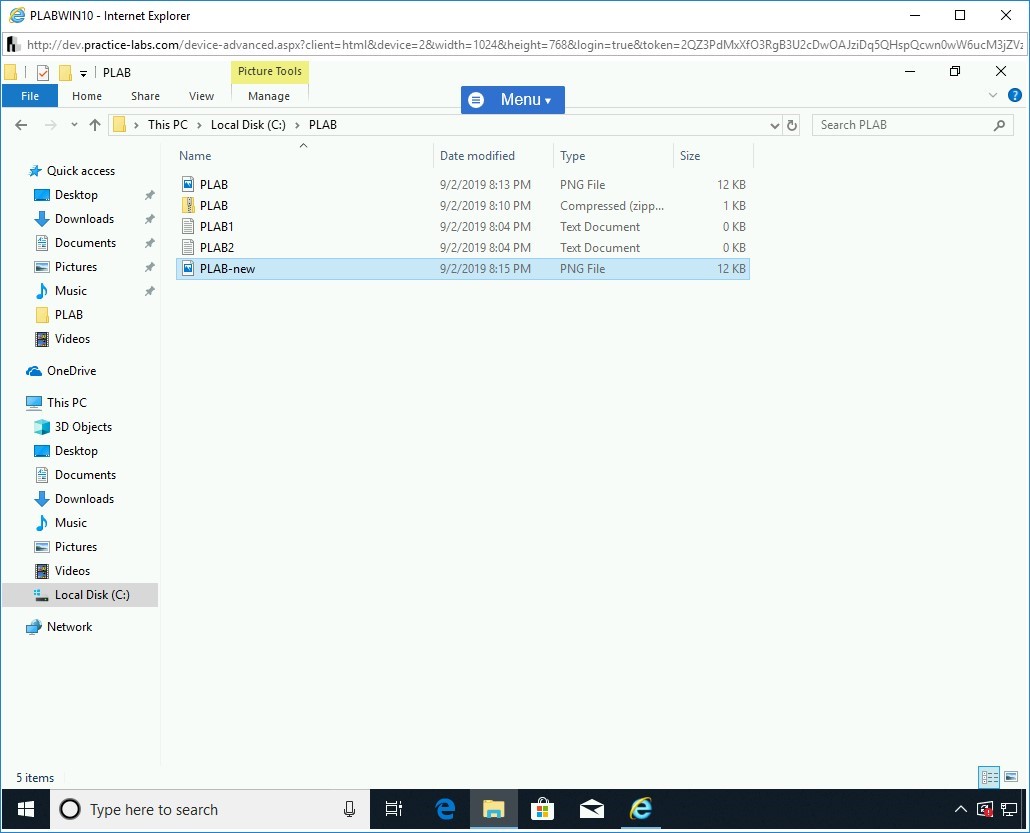 Figure 1.16 Screenshot of PLABWIN10
