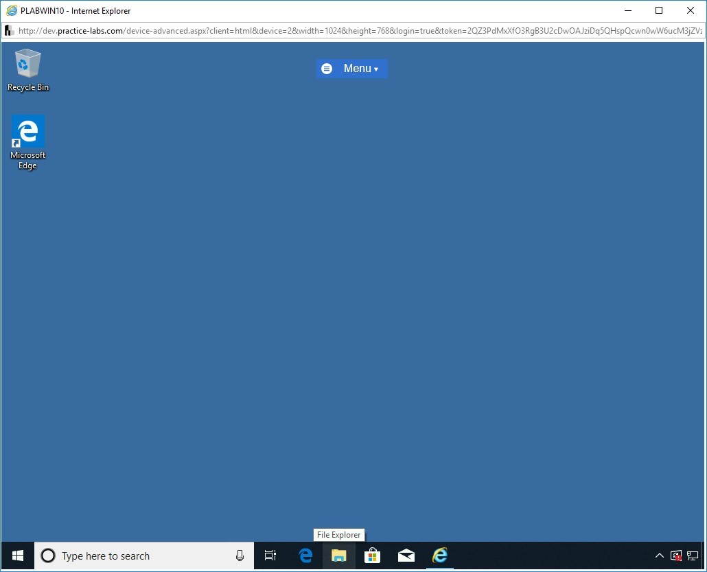 Figure 1.1 Screenshot of PLABWIN10