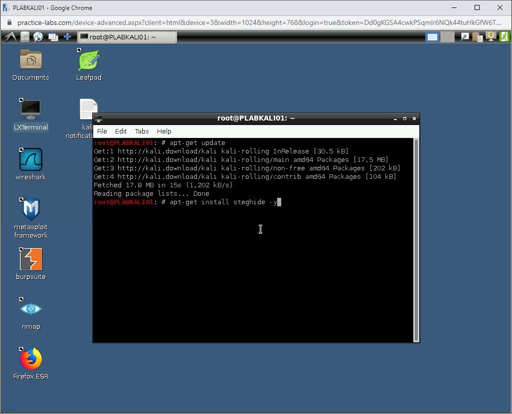 Figure 1.25 Screenshot of PLABKALI01