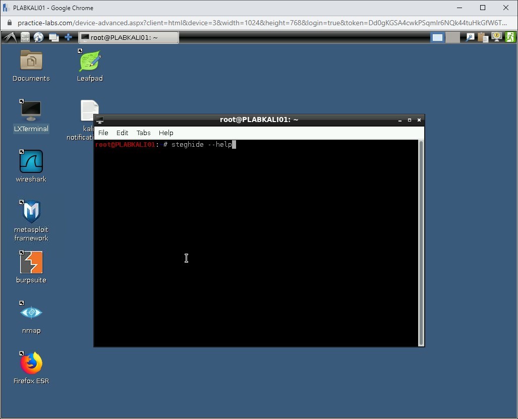 Figure 1.28 Screenshot of PLABKALI01