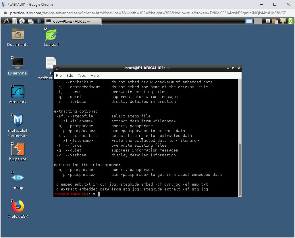 Figure 1.29 Screenshot of PLABKALI01