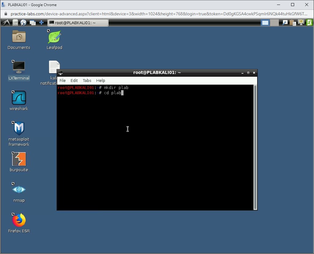 Figure 1.31 Screenshot of PLABKALI01