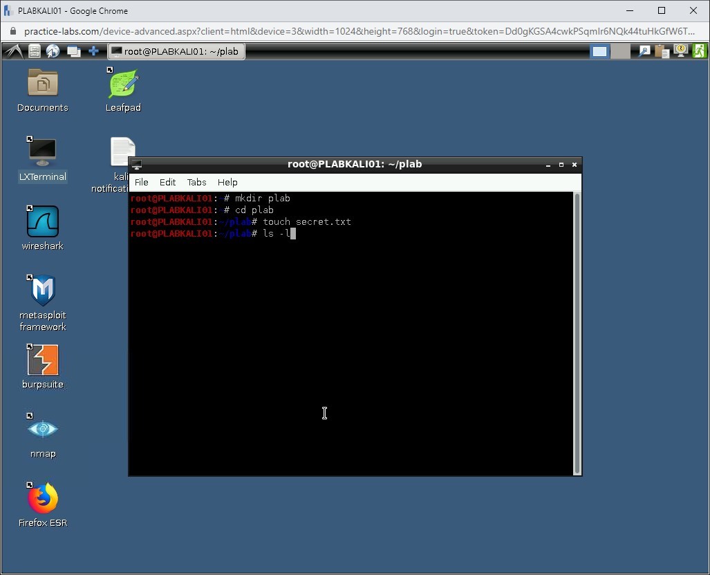 Figure 1.33 Screenshot of PLABKALI01
