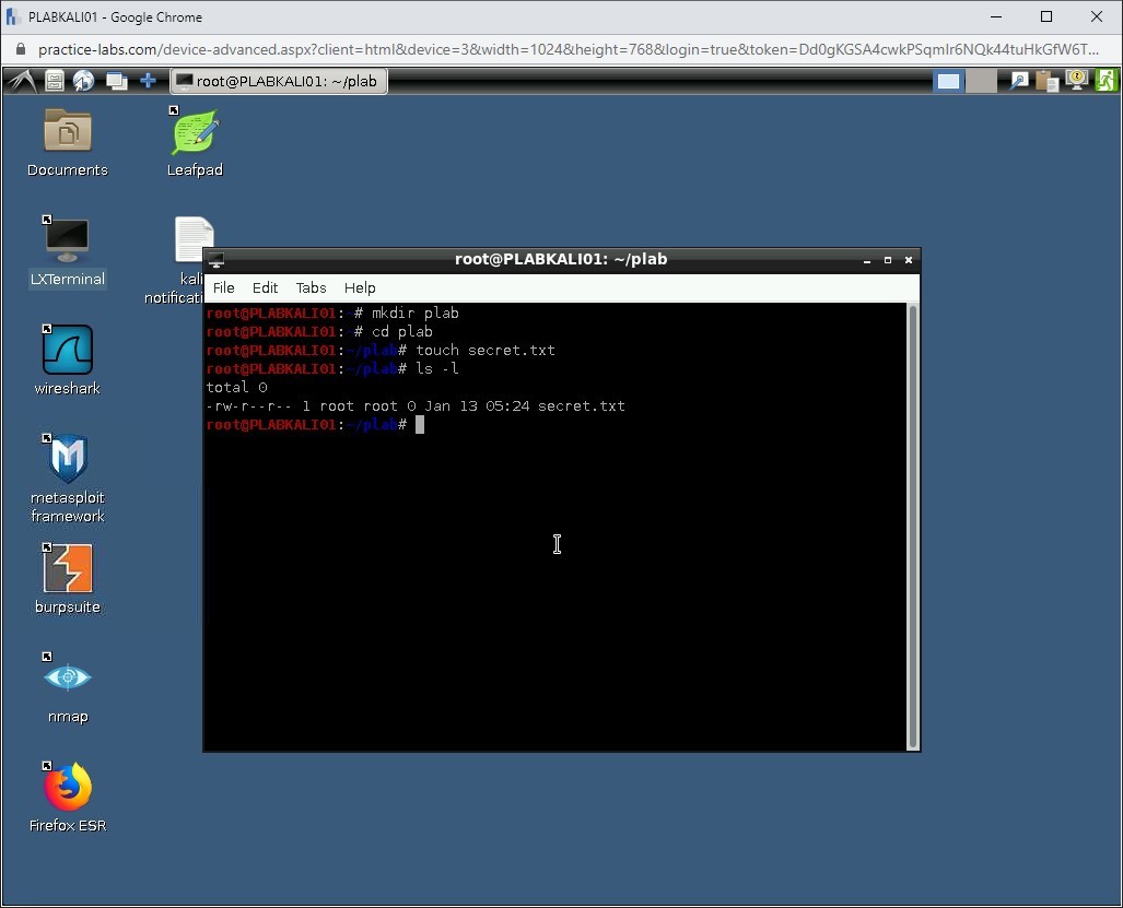 Figure 1.34 Screenshot of PLABKALI01