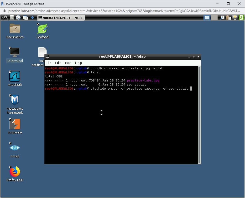 Figure 1.37 Screenshot of PLABKALI01