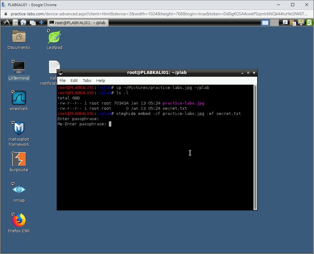Figure 1.38 Screenshot of PLABKALI01