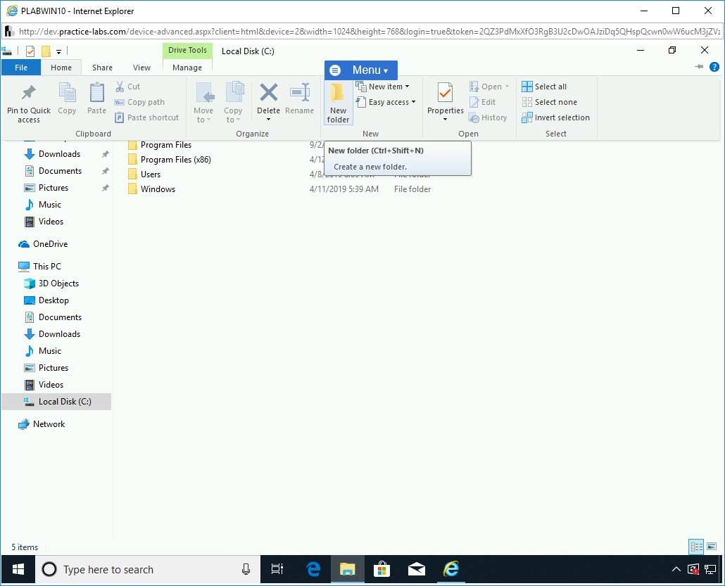 Figure 1.3 Screenshot of PLABWIN10