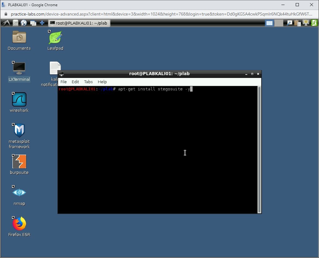 Figure 1.45 Screenshot of PLABKALI01