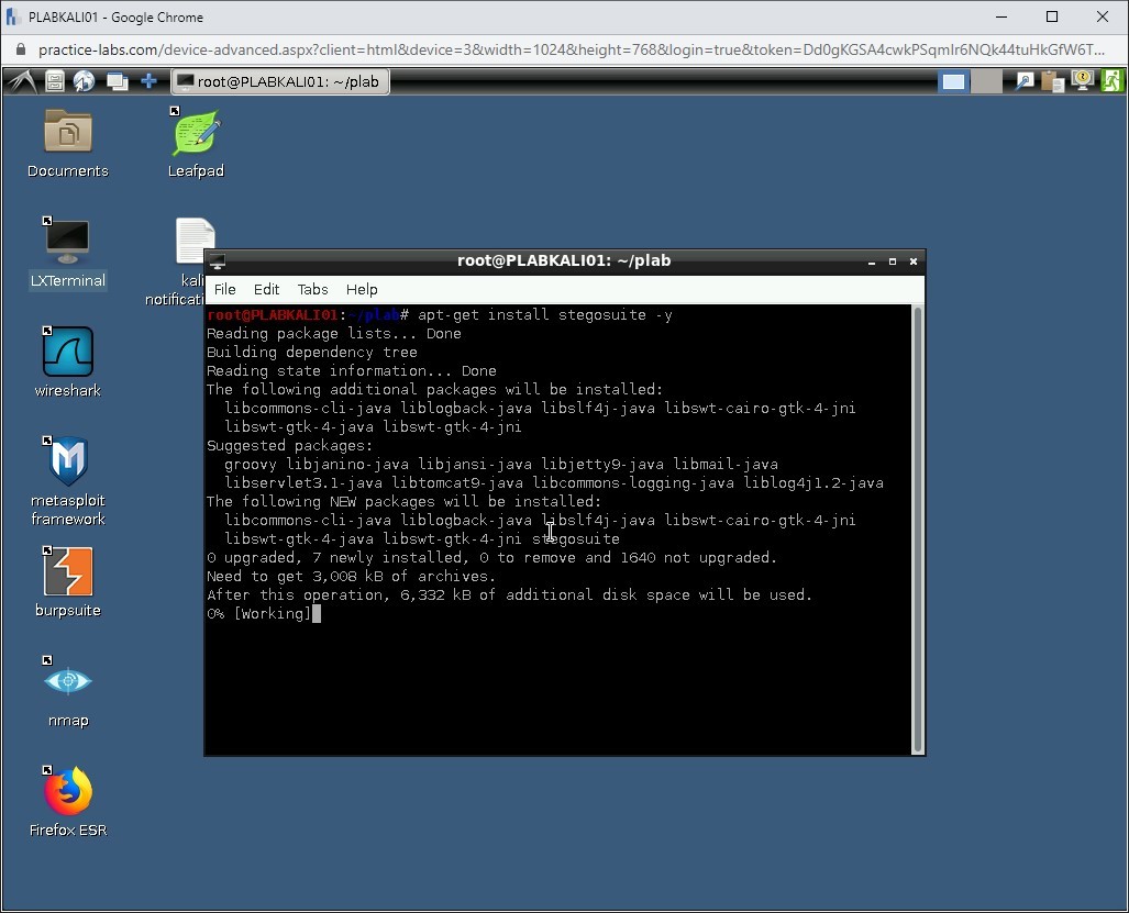 Figure 1.46 Screenshot of PLABKALI01