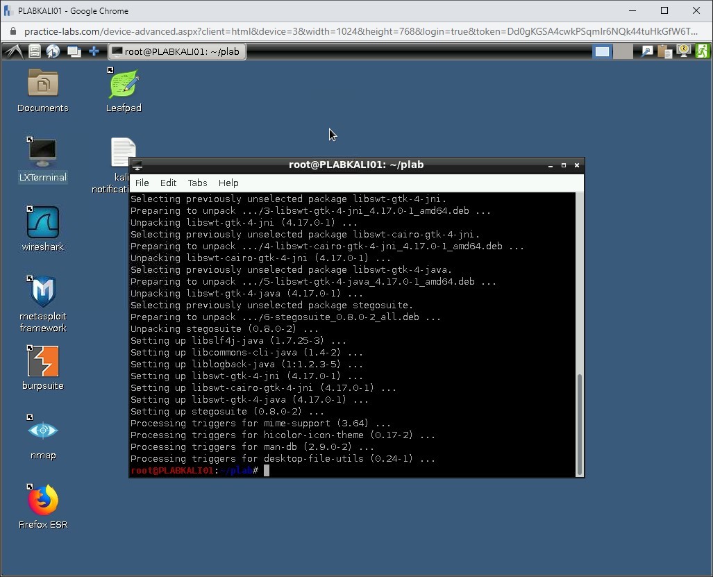 Figure 1.47 Screenshot of PLABKALI01