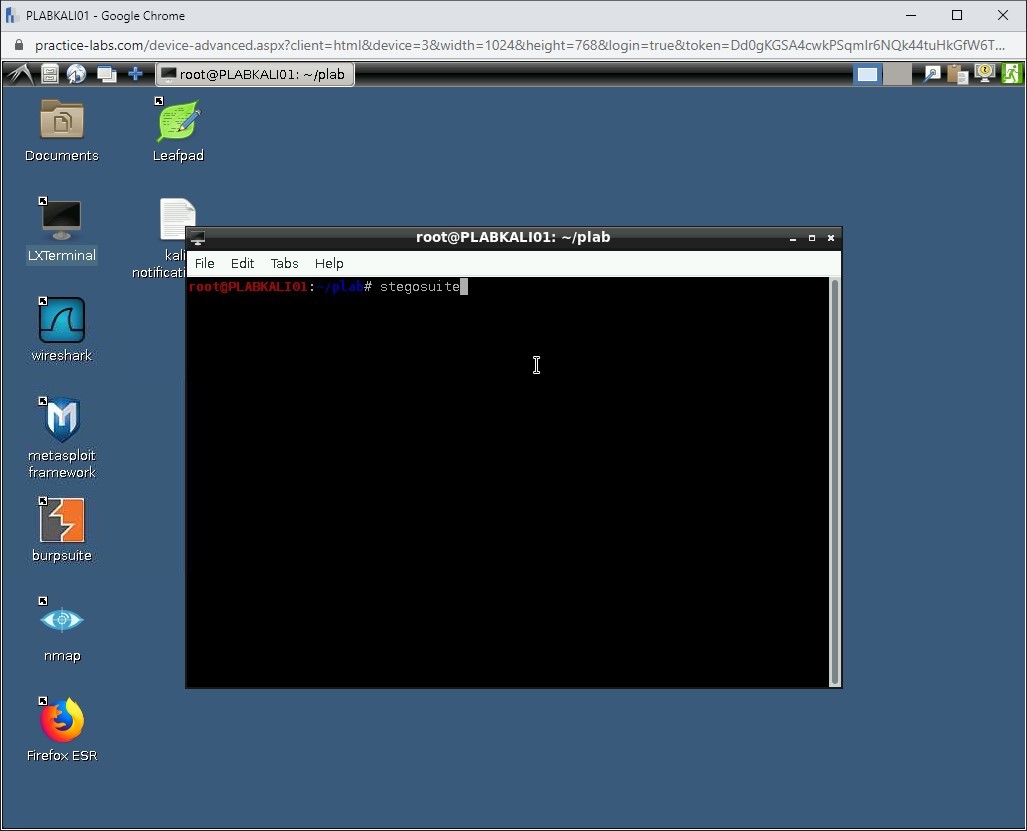 Figure 1.48 Screenshot of PLABKALI01