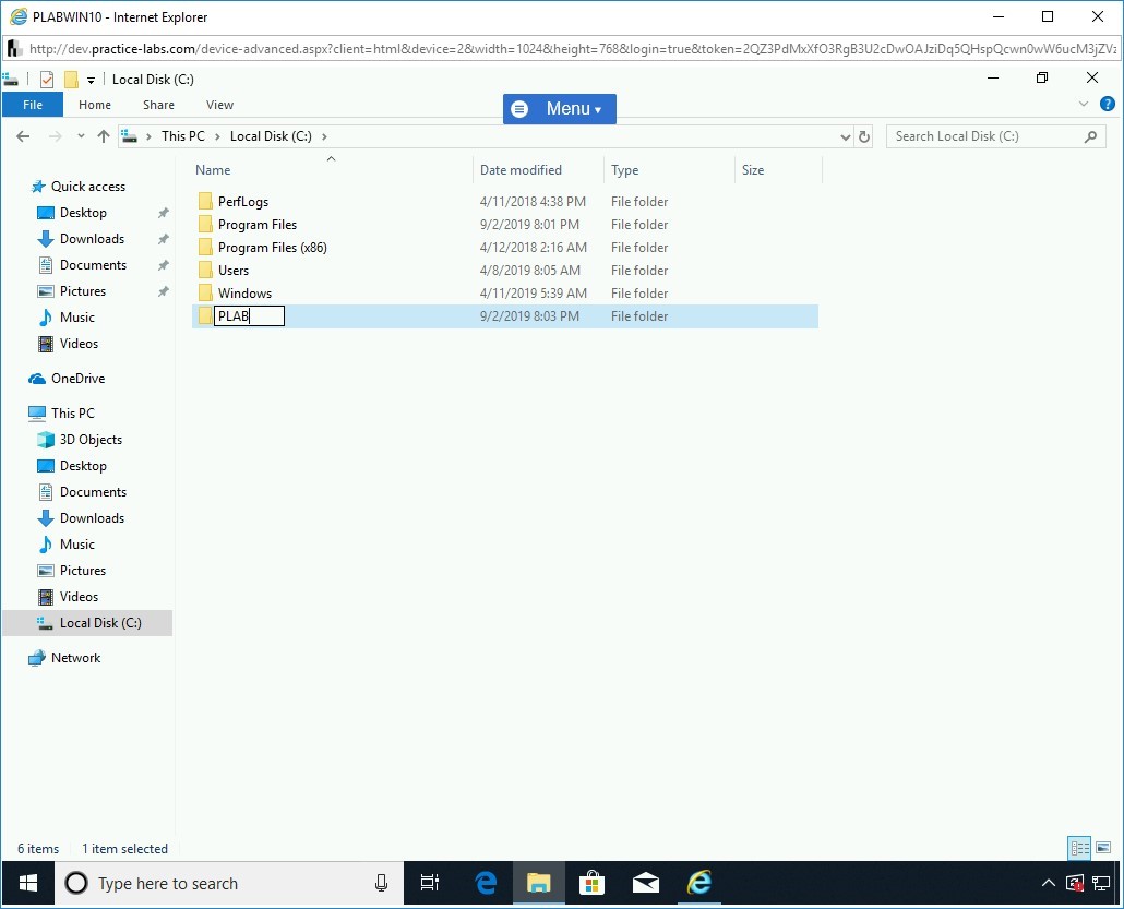 Figure 1.4 Screenshot of PLABWIN10