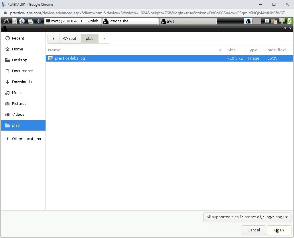 Figure 1.50 Screenshot of PLABKALI01
