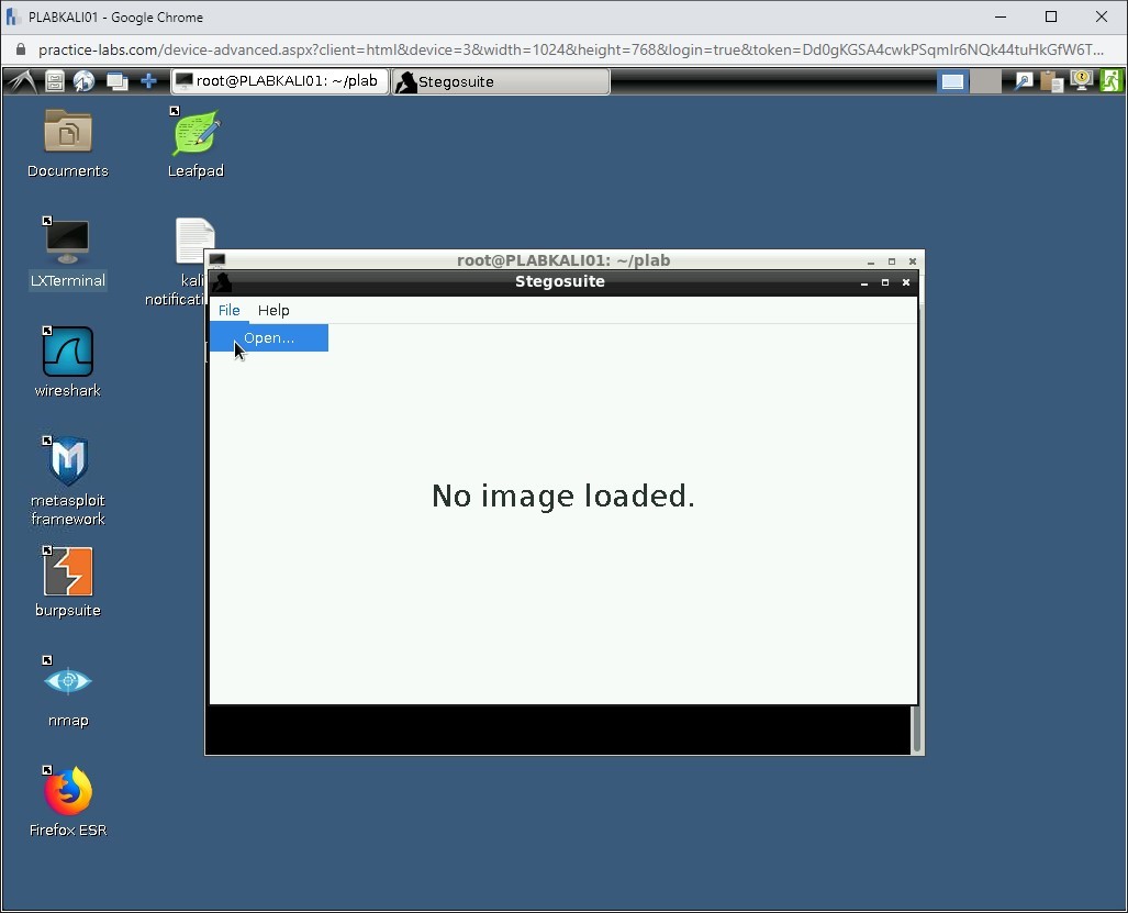 Figure 1.54 Screenshot of PLABKALI01